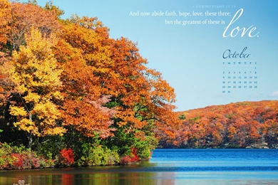 Akita Wallpapers Desktop