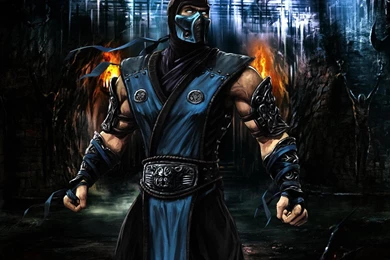 Wallpapers Mortal Kombat Nature Full Hd Sub Zero In Fighting Pose ...