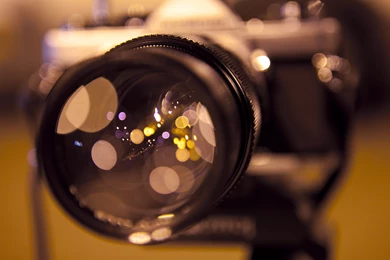 Awesome Lens Macro Wallpapers Wide