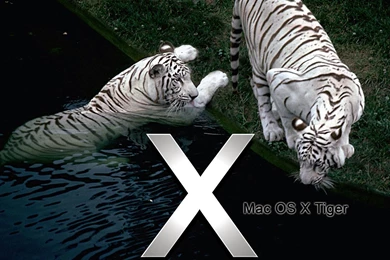 Mac OS X Tiger Wallpapers   Desktop Wallpapers Sports