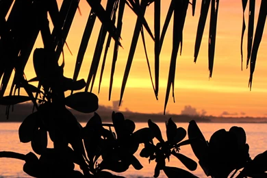 Sunset In Samoa Wallpaper,samoa HD Wallpaper,sunset HD Wallpapers ...