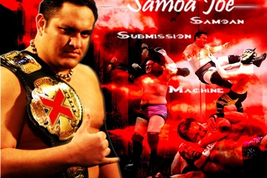 Samoa Joe Wallpapers From 2016 HD Gallery