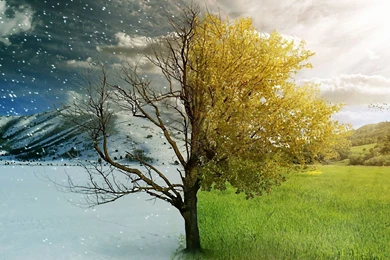 Wallpapers Hp Nature Beauty Fall Winter Seasons Of The Year ...