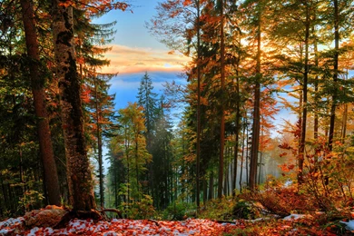 Between Autumn And Winter Wallpaper,lovley HD Wallpaper,view HD ...