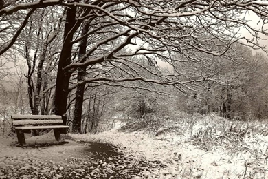 Goodwp Com Alright This Is Fall Related Winter Season After ...