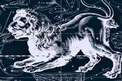 Leo Zodiac Sign Wallpapers