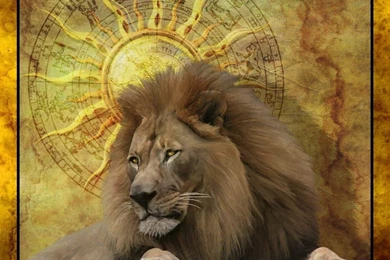 Bright Leo Zodiac 884x903px