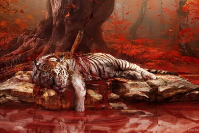Far Cry 4 Dead Tiger   Ztona Wallpapers