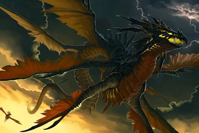 Dragon Wallpapers HD Cool   Fullwidehd.com