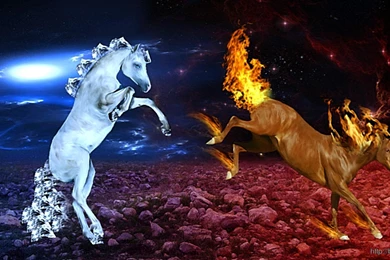 Horse Ice And Fire Cool Image Wallpapers