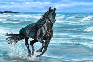 Horses Running Horse Beauty Animals Wave Sea Nature Beach Free ...