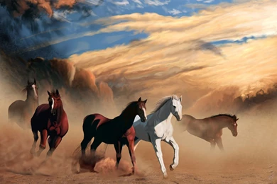 Running Black Horse Hd Wallpapers Cool Desktop Background Images ...