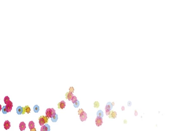 White Backgrounds HD Flower HD Wallpapers