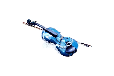 Music Violins White Backgrounds Violin