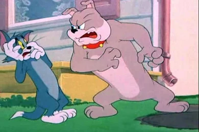 Tom And Jerry Cartoon HD Backgrounds For iPad Air 2   Cartoons ...