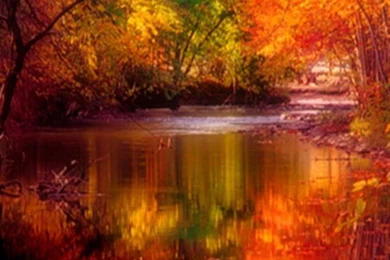 Fall Season HD iPhone Wallpapers, iPhone 5(s)/4(s)/3G Wallpapers