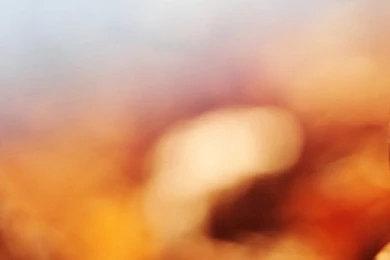 The Best Fall Or Autumn Themed Wallpapers For iPhone 5s