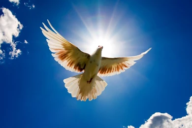 Labels Windows 8 Beta Wallpapers Windows 8 Hd Wallpapers Windows Hd ...