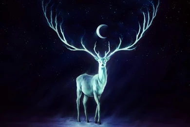 Deer Art Fantasy Ultra HD Wallapper   HD Wallpapers & 4K Wallpapers ...