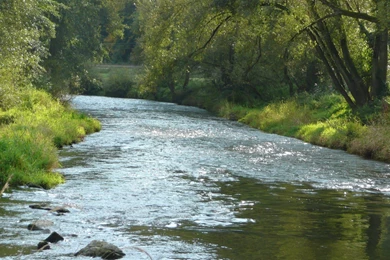 Wallpaper river saale nature backgrounds 1883231.jpg