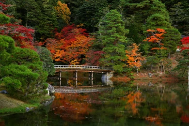 Fall_River_Background.png?m=1399676400