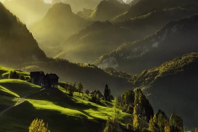 Valley,light,forest,residential,green Landscape Hd Wallpapers ...