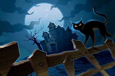 Halloween, Night, Fence, Cat, Wallpaper, Computer, Backgrounds ...