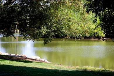 Ocean Water Backgrounds And Codes For Any Blog, Web Page, Phone Or ...