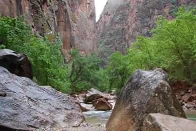 Big Backgrounds Backgrounds "River Flows Through" At 1680 X 1050