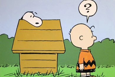 Charlie Brown Wallpapers