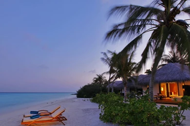 Exotic Beach 2560x1600px