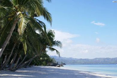 YouWall   Exotic Beach Wallpapers   Wallpaper,wallpapers,free ...