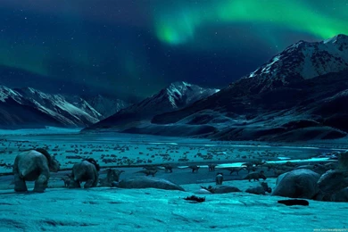 Walking With Dinosaurs 3D Wallpapers   (1920x1200 ...