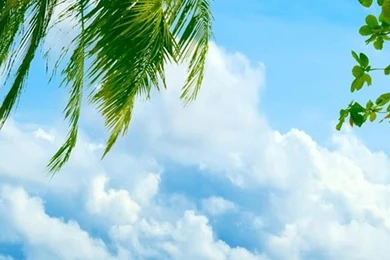 Exotic Beach Resort   Best Htc One Wallpapers, Free And Easy To ...