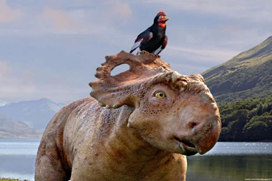 Walking With Dinosaurs 3D Wallpapers   (1920x1200 ...