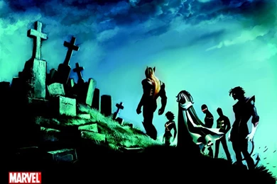 My Free Wallpapers   Comics Wallpapers : X Men