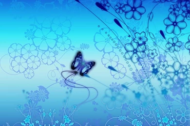 Blue Butterfly Wallpapers   Wallpapers High Definition