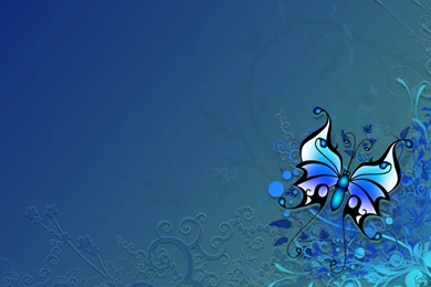 Blue Butterfly Wallpapers Wallpapers High Definition