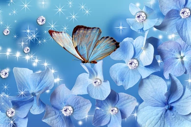 Blue Butterfly Wallpapers HD