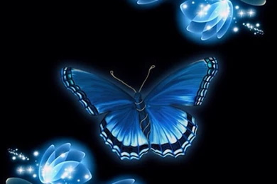 BLUE BUTTERFLY IPHONE WALLPAPER BACKGROUND