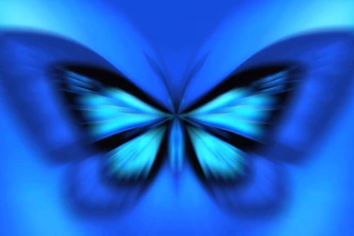 Blue Butterflies Wallpaper, Wallpaper, Blue Butterflies Wallpapers ...