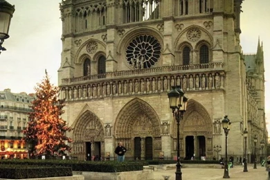 Download Wallpapers 750x1334 France, Notre Dame De Paris, Paris ...