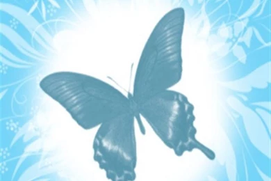 Blue Butterfly iPhone Wallpapers, iPhone 5(s)/4(s)/3G Wallpapers