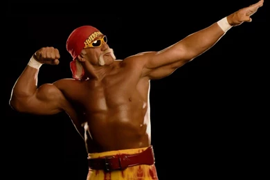 Download Hulk Hogan Wallpapers