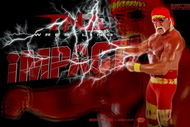 Wallpapers Of Hulk Hogan   WWE On Wrestling Media