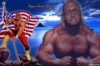 Hulk Hogan Wallpapers : WWE Superstars WWE Divas WWE WrestlMania ...