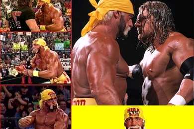 Hulk Hogan   Hulk Hogan Wallpapers (34356601)   Fanpop