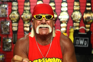 14 Quality Hulk Hogan Wallpapers, Celebrity