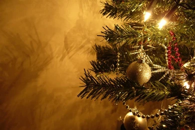 Arvores Natal HD Wallpapers