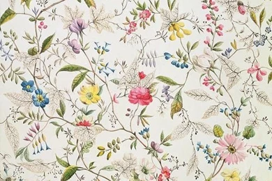 Floral Phone Wallpapers S45